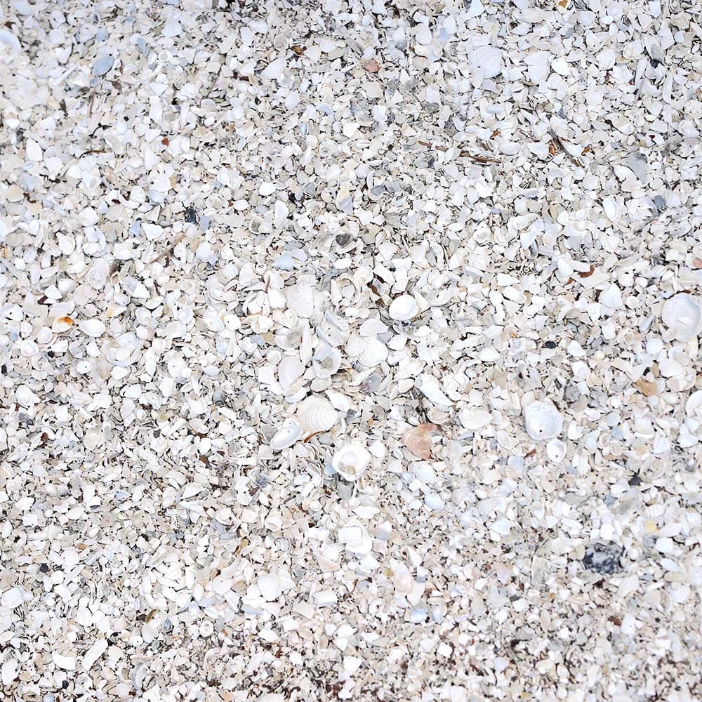 Close up of crushed shell laid deep enough to hide the base underneath